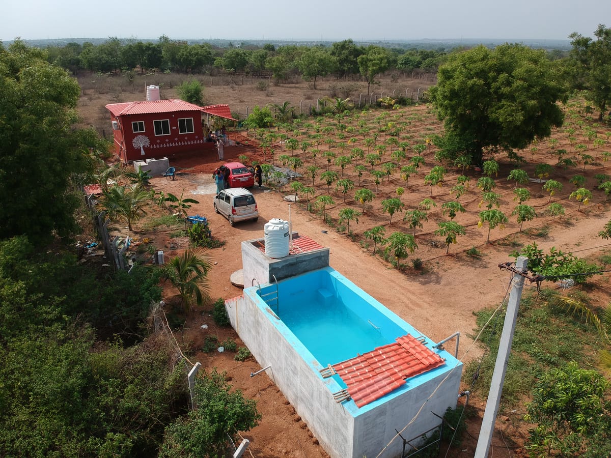 MangoHut Farmhouse — 3