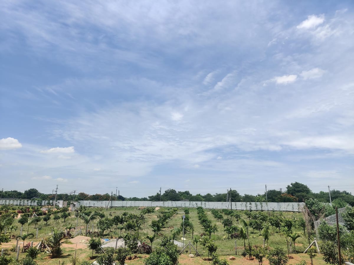 EAST GREEN FARMS — 4