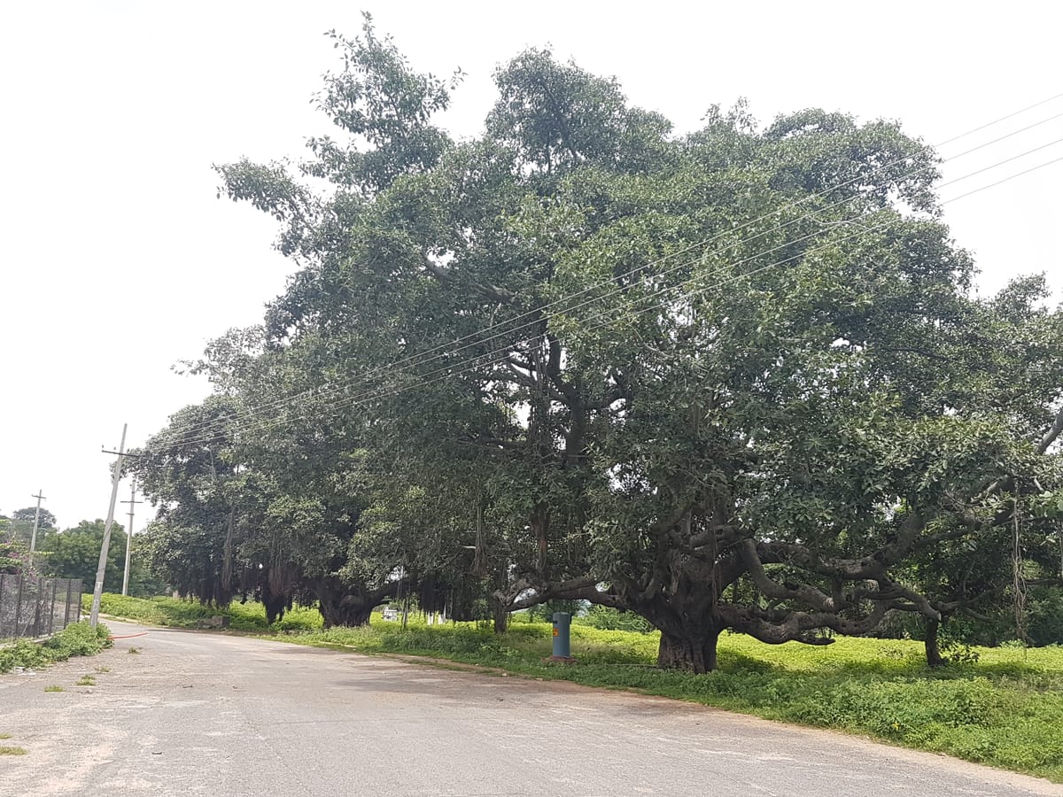 Haritha Hotel Keesaragutta — 3