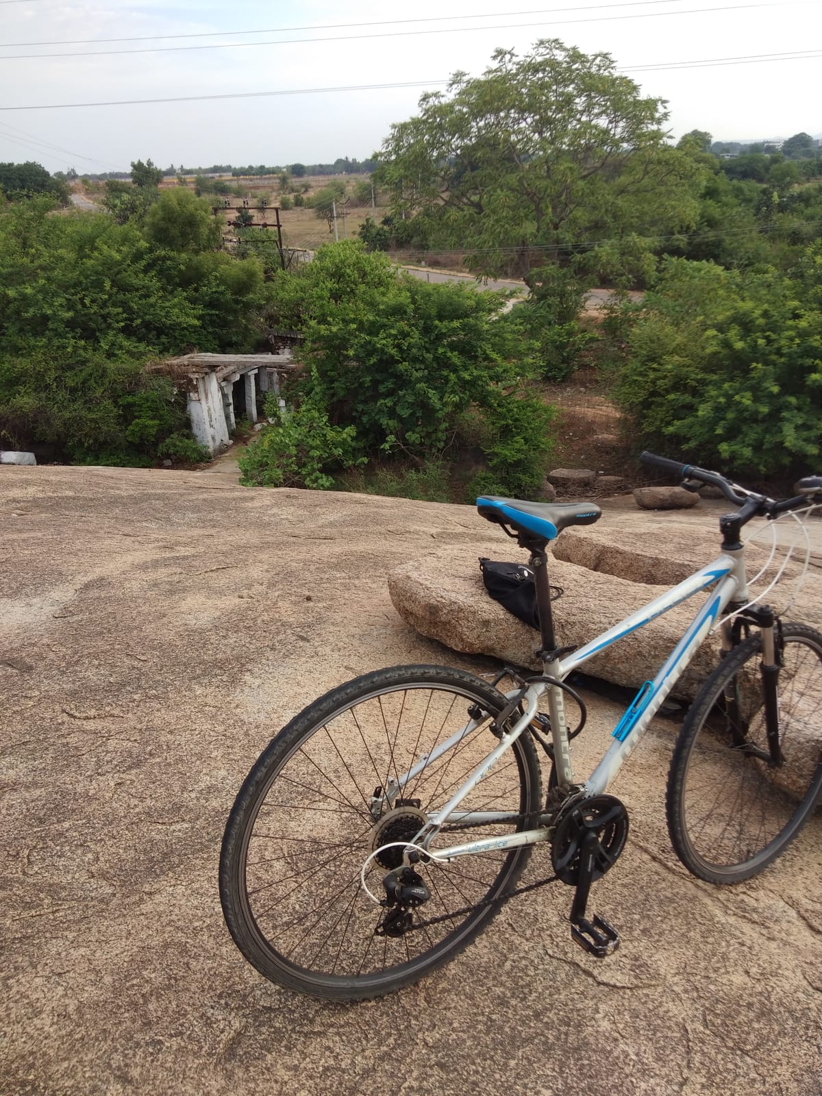 Haritha Hotel Keesaragutta — 4