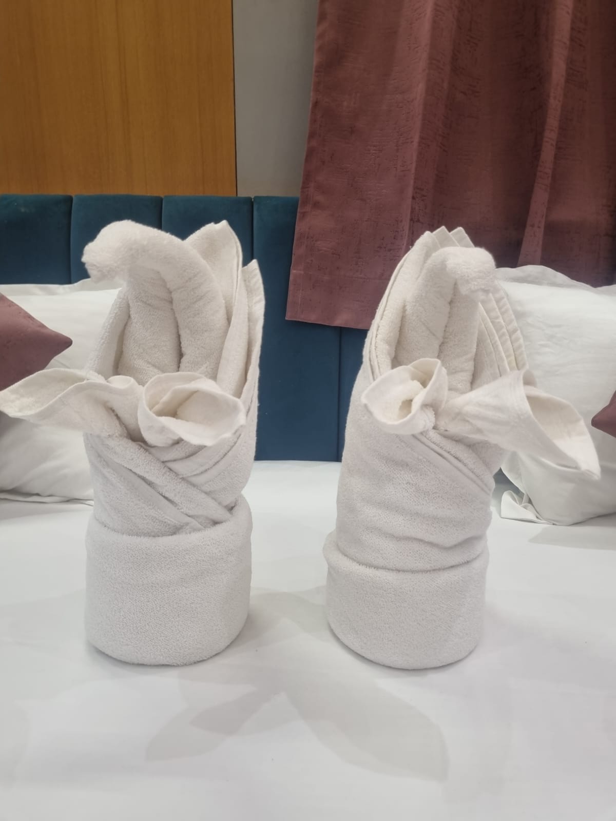Hotel Shree Palace — 5