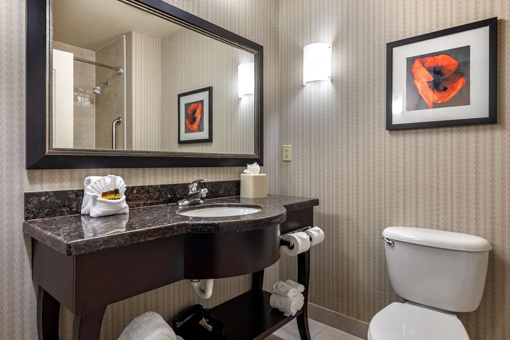Best Western Plus DFW Airport West Euless — 5