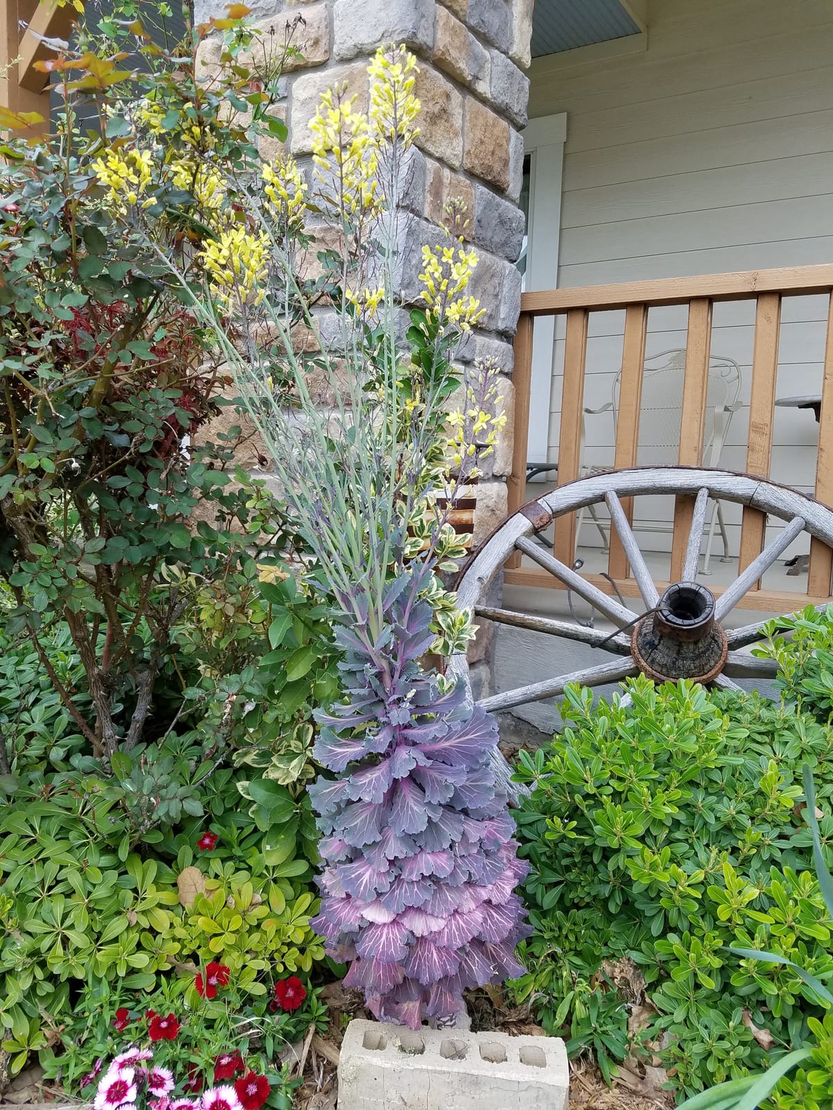Jefferson Street Bed and Breakfast Inn — 2