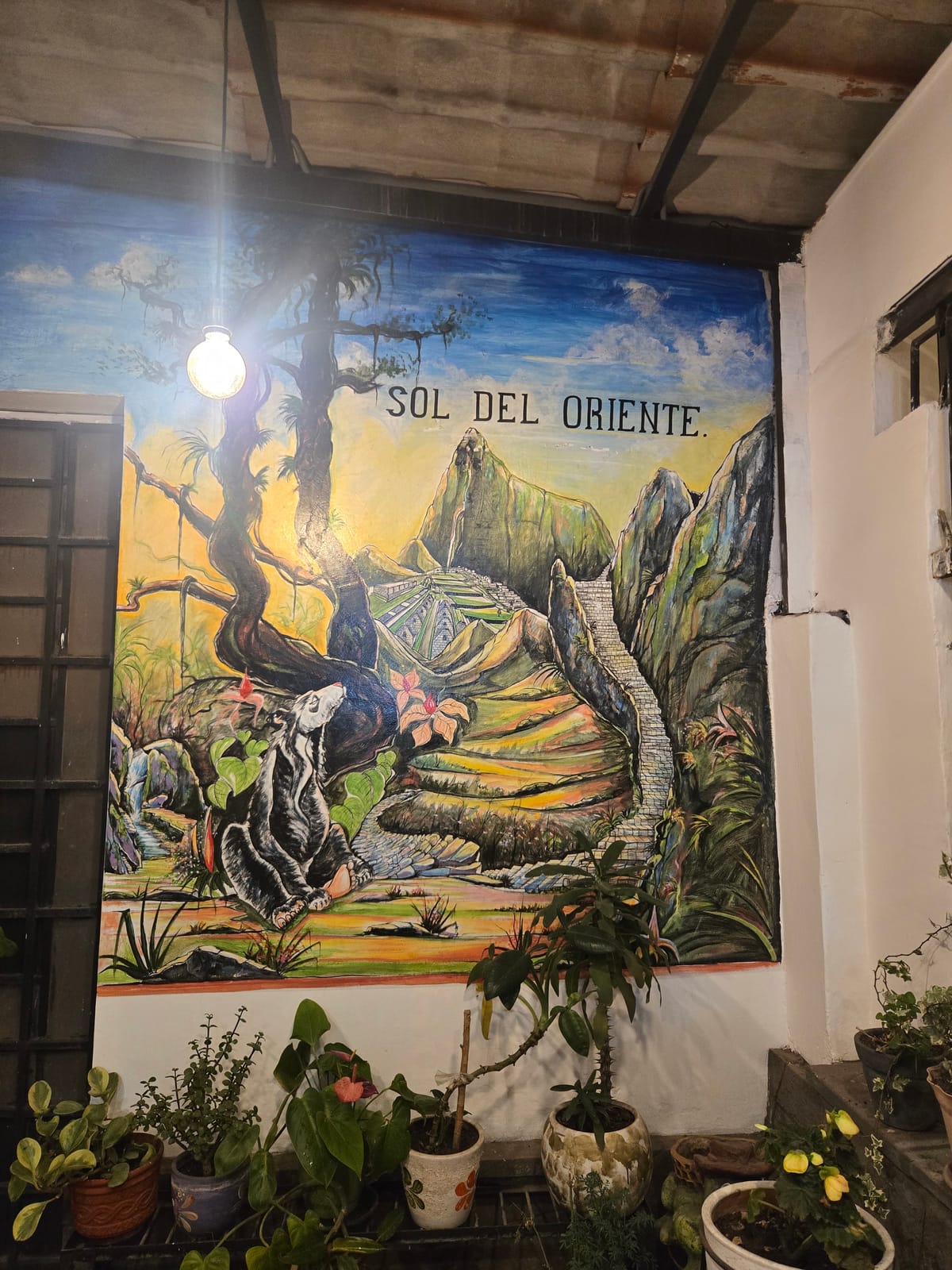 Hotel Sol del Oriente Cusco — 5