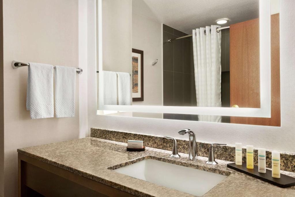 Embassy Suites Dallas - DFW Airport North — 3